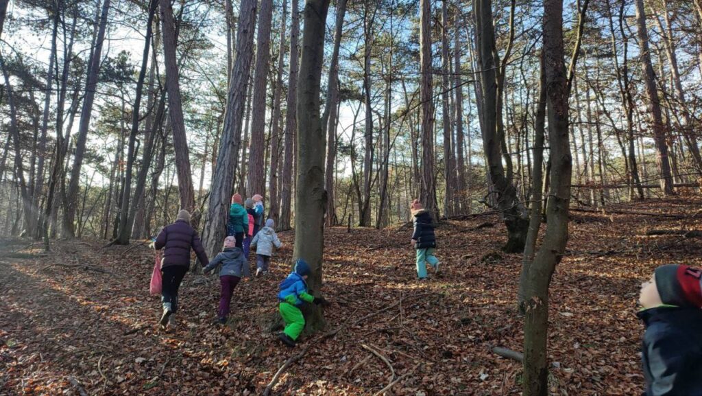 Schatzsuche im Wald