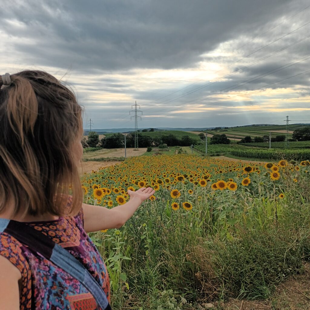 Die Tore von naturkindsein öffnen sich