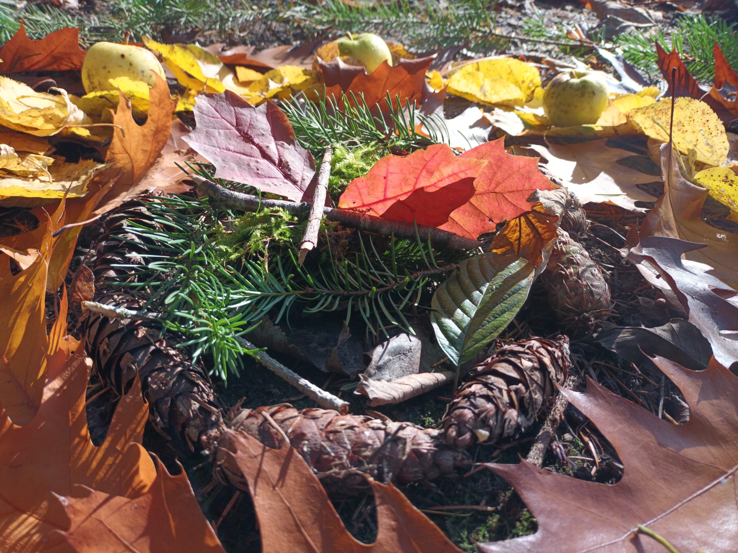 Naturerlebnisse als Ritual