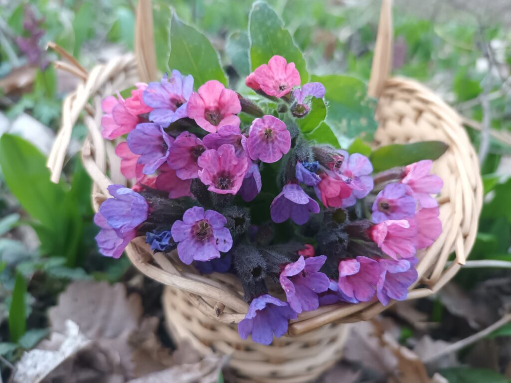 Herz öffnen und Kernbotschaft erkennen